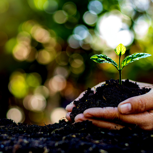 Youth Environmental Justice Committee
